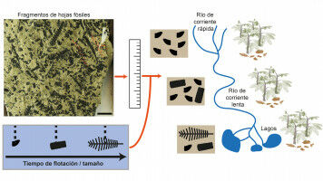 Avances para la reconstrucci�n de los paisajes del pasado