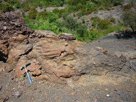Descubren h�bitats desconocidos en la flora carbon�fera del Pirineo