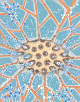 Mecanotransducci�n: mec�nica nuclear para entender la salud y la enfermedad