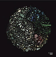 Un estudio de ciencia ciudadana detecta una alta cantidad de micropl�sticos en las zonas de ba�o catalanas