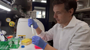 Describen por primera vez el potencial terap�utico de eliminar la prote�na SOS1 del microentorno de tumores de pulm�n