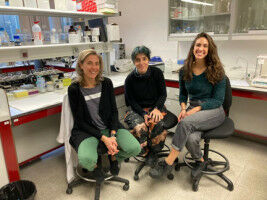 Posible nueva terapia frente a la hipertensi�n arterial