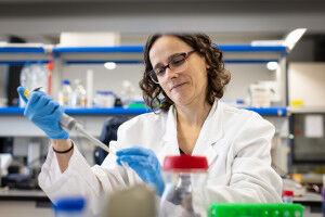 How did animal life transition from aquatic to terrestrial environments?