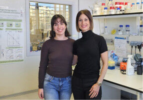 Mechanisms of phage adaptation to eradicate clinically relevant bacteria