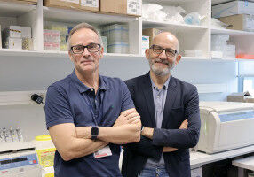 New metabolic mechanism involved in resistance to lung cancer treatments