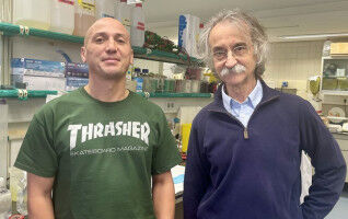 Researchers identify key molecular mechanism in cell communication