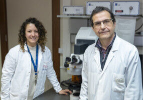 Identifican un nuevo regulador gen�tico implicado en la distrofia miot�nica tipo 1, una enfermedad neuromuscular rara