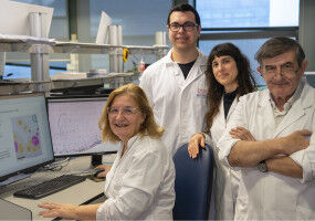 Desarrollan una nueva herramienta que analiza la morfología de tumores infantiles en 3D de forma más rápida y precisa - UV Desarrollan una nueva herramienta que analiza la morfología de tumores infantile