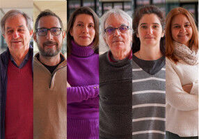 L Institut de Ciència Molecular desenvolupa nous compostos antifúngics contra patògens prioritaris de l OMS - UV L Institut de Ciència Molecular desenvolupa nous compostos antifúngics contra pa